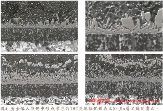 下面四張圖片為放大4500倍的SEM圖像，說明在回流焊爐熱量不足的情況下，黃金成份正要從鎳層分離融入焊錫之中的瞬間，當零件遭受外力沖擊的時候就極有可能從這一整排AuSn、、AuSn2或AuSn4的IMC處裂開。